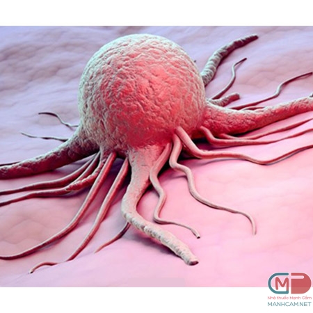 Sự phát triển bất thường của tế bào ung thư