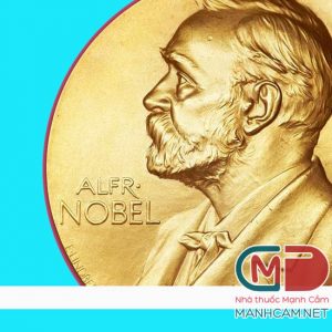 nobel prize