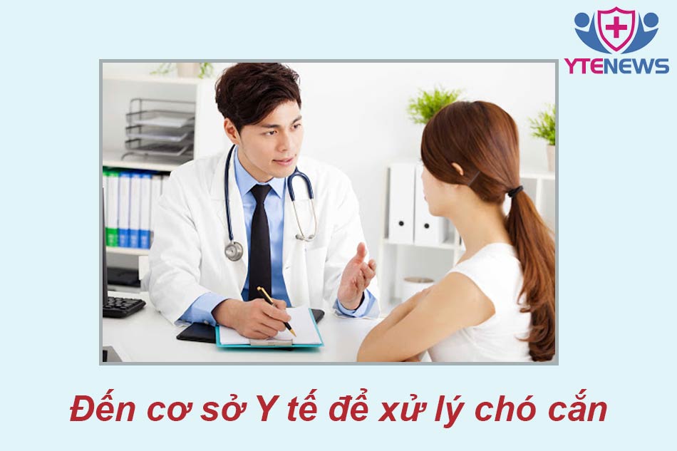 Đến cơ sở Y tế để xử lý chó cắn