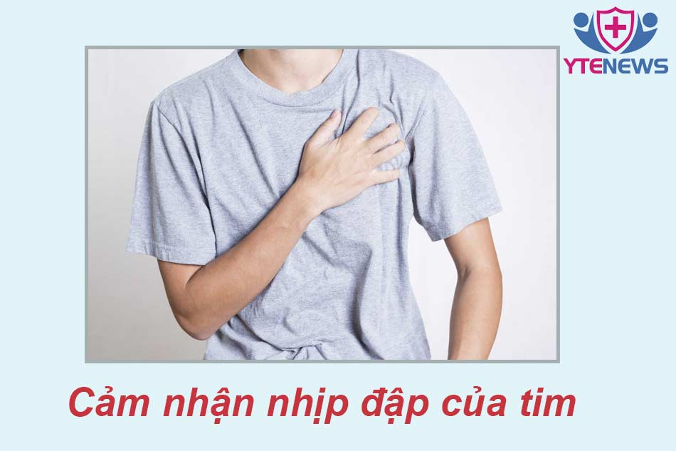 Cảm nhận nhịp đập của tim