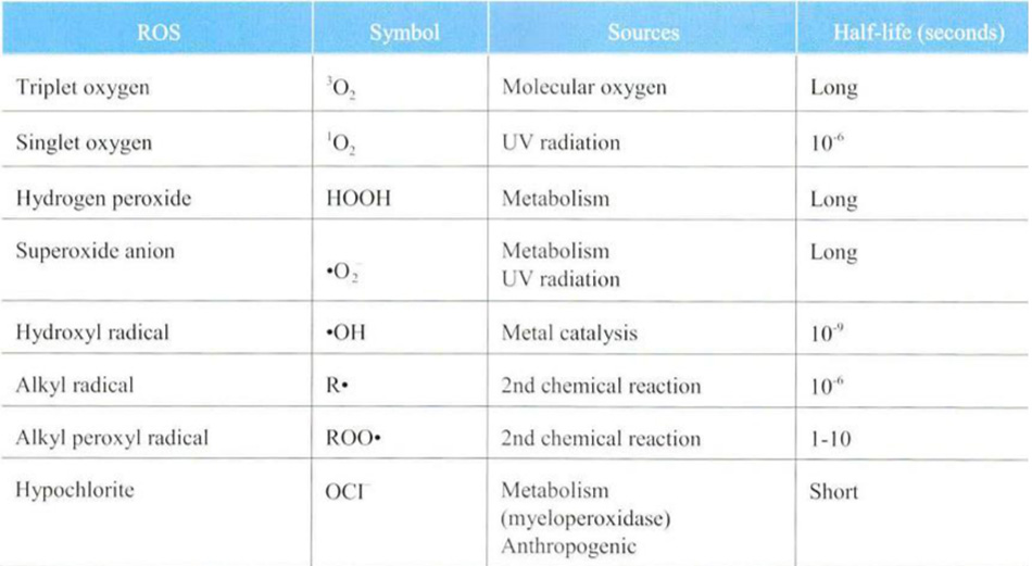 Bảng 24-1 Key Reactive Oxidizing Species Relevant to the Skin