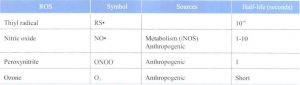 Hình 24-2 Sources of Reactive