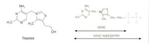 Hình 6-7 Cấu trúc vật lí của vitamin B1