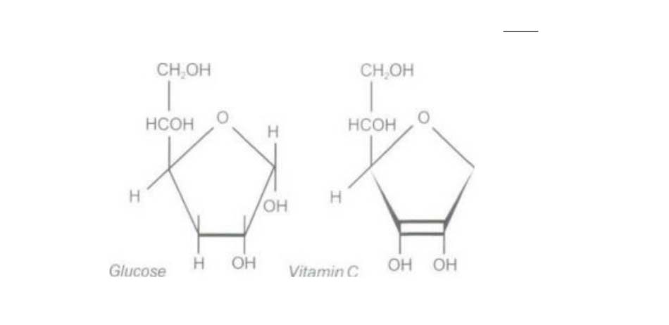 Hình-6-1 Cấu trúc hóa học của Glucose và Vitamin C