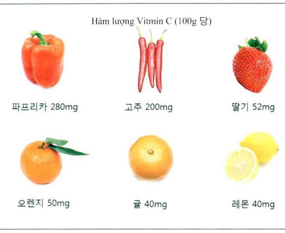 Hình-6-3 Hàm lượng vitamin C của các loại rau hoặc trái cây điển hình trên 100g