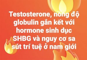 Testosterone, nồng độ globulin gắn kết với hormone sinh dục SHBG và nguy cơ sa sút trí tuệ ở nam giới