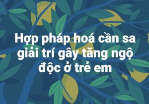 Hợp pháp hoá cần sa giải trí gây tăng ngộ độc ở trẻ em