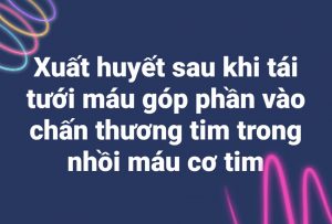 Xuất huyết sau khi tái tưới máu góp phần vào chấn thương tim trong nhồi máu cơ tim