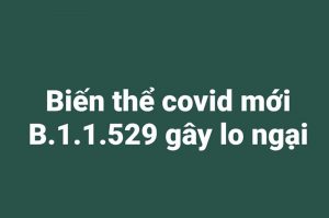 Biến thể covid mới B.1.1.529 gây lo ngại với các lệnh cấm du lịch tại Hoa Kỳ.