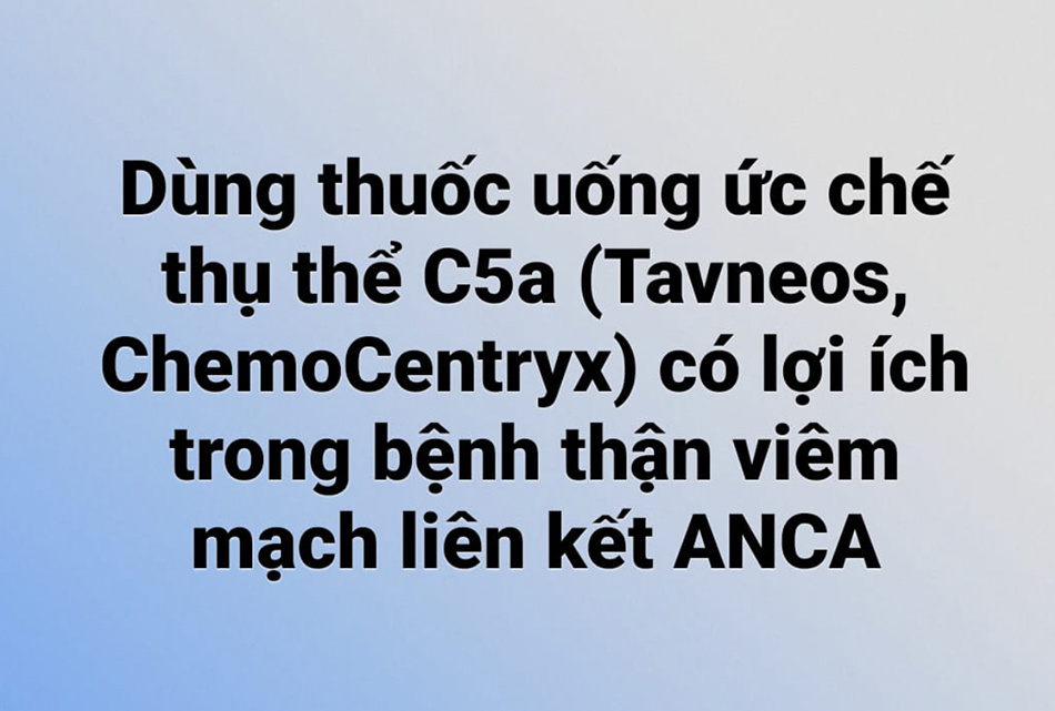 ADVOCATE: ức chế thụ thể C5a đường uống (Tavneos, ChemoCentryx) có lợi ích trong bệnh thận viêm mạch liên kết ANCA.