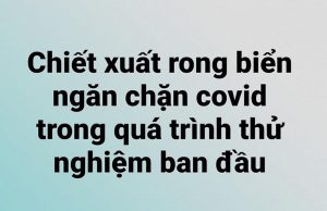 Chiết xuất rong biển ngăn chặn covid trong quá trình thử nghiệm ban đầu.