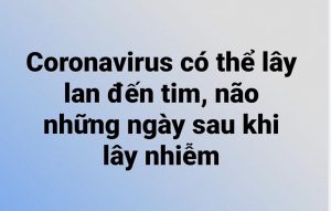 Coronavirus có thể lây lan đến tim, não những ngày sau khi lây nhiễm