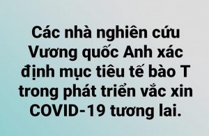 Các nhà nghiên cứu Vương quốc Anh xác định mục tiêu tế bào T trong phát triển vắc xin COVID-19 trong tương lai.