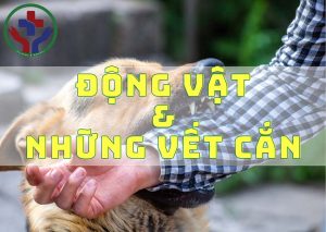 ĐỘNG VẬT VÀ NHỮNG VẾT CẮN