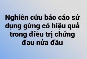 Nghiên cứu báo cáo sử dụng gừng có hiệu quả trong điều trị chứng đau nửa đầu