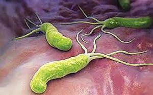 Xét nghiệm dự đoán nhanh tình trạng kháng thuốc kháng sinh của vi khuẩn H.pylori gây viêm dạ dày.