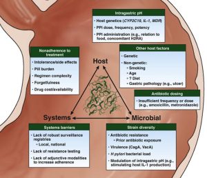 NHIỄM HELICOBACTER PYLORI DAI DẲNG