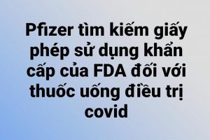 Pfizer tìm kiếm giấy phép sử dụng khẩn cấp của FDA đối với thuốc uống điều trị covid.