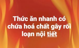 Thức ăn nhanh có chứa hóa chất gây rối loạn nội tiết