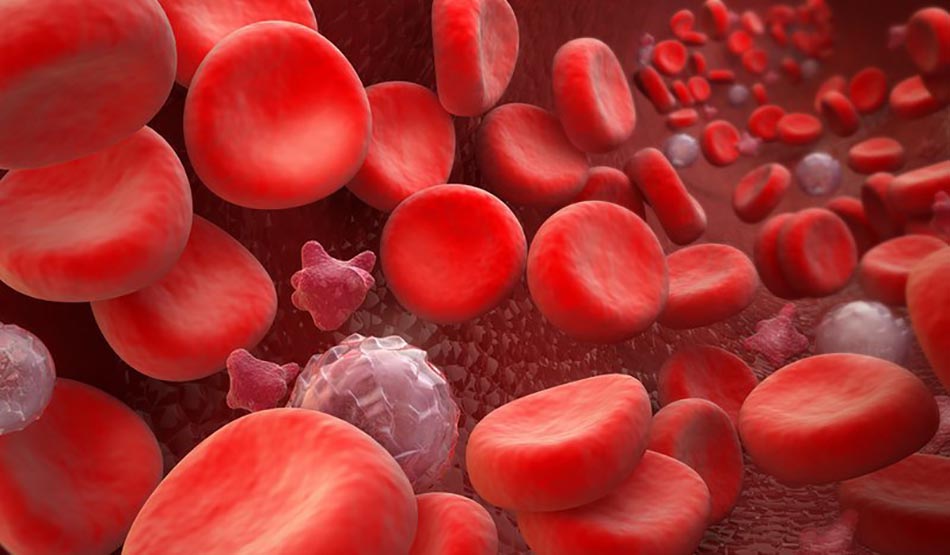 Một số sản phẩm có nguồn gốc từ máu được bán trên thị trường như trong liệu pháp tế bào gốc có nhiễm khuẩn.