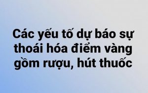 Các yếu tố dự báo sự thoái hóa điểm vàng gồm rượu, hút thuốc