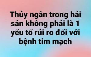 Thủy ngân trong hải sản không phải là 1 yếu tố rủi ro đối với bệnh tim mạch.