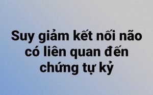 Suy giảm kết nối não có liên quan đến chứng tự kỷ