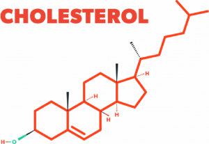 Cholesterol