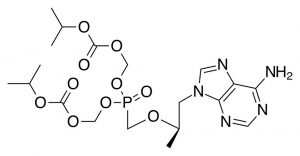 Nhiễm HIV và Tenofovir đều liên quan đến tình trạng thiếu xương ở thanh niên.