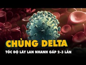 Một số liệu mới của các trường hợp coronavirus có biến thể Delta phát hiện ở Hoa Kỳ.