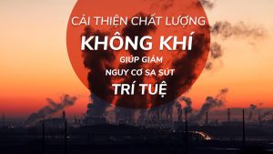 Giảm ô nhiễm không khí có liên quan đến lão hóa não chậm, giảm nguy cơ sa sút trí tuệ.