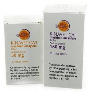 Thuốc điều trị ung thư Kinavet-CA1 (masitinib) có hiệu quả trong bệnh Alzheimer.