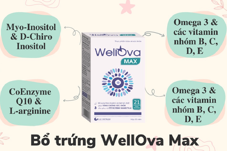 Bổ trứng WellOva có thực sự tốt?