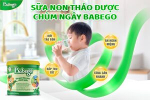 Sữa non thảo dược chùm ngây Babego