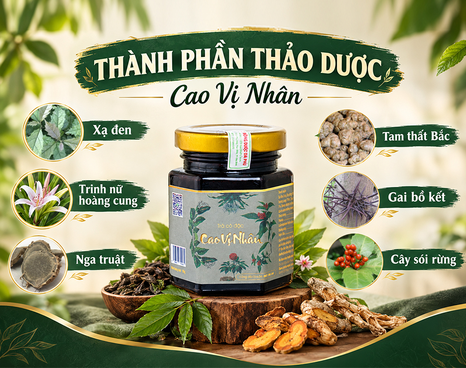 Thành phần thảo dược Cao Vị Nhân